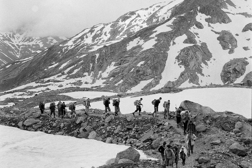 Alpine associations